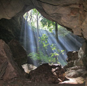 Explore ancient Mayan residences