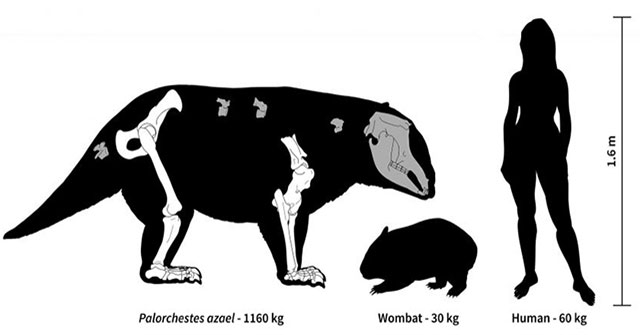 Exposed strange creatures weighing 1 ton, clawed dagger, tapir face