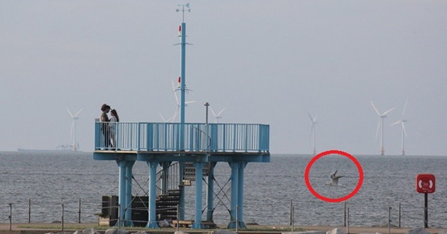 Exposing the truth behind the water-splattered photo of the beach
