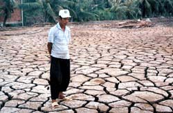 Extensive drought due to El Nino phenomenon