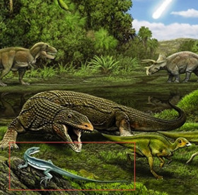 Extinct lizard named Obama