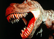 Extinct of dinosaurs has not led to the emergence of mammals today
