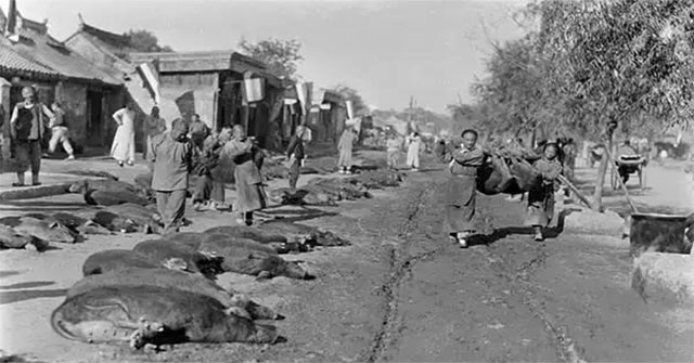 Extremely precious series of photos about China 100 years ago