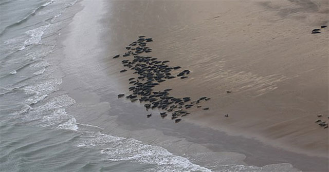 Extremely significant image beside a river that was pronounced dead 70 years ago