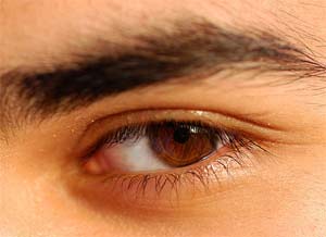 Eye lashes also have lice