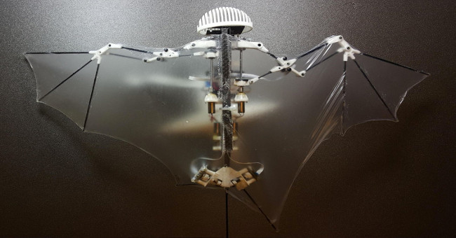 Fabricating drones inspired by bats, can fly and self-record