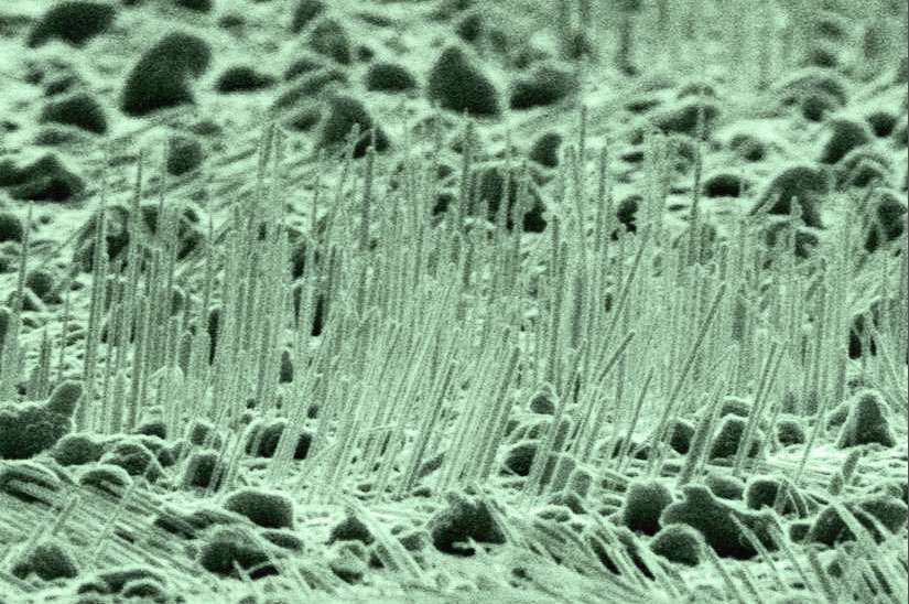Fabrication of biological sensors from UNCD nanowires
