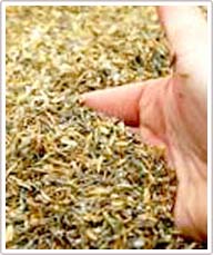 Fabrication of insulation from rice husk