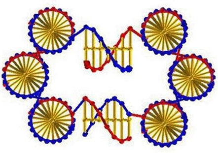 Fabrication of self-replicating materials