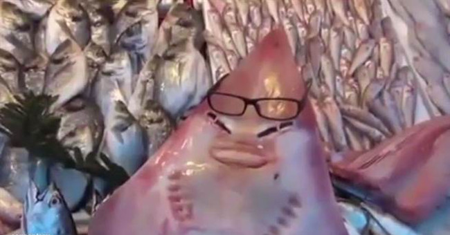 Face shark who loses Turkish fishermen