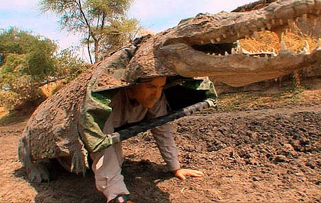 Fake crocodiles to study