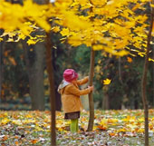 Fall colors all over the world