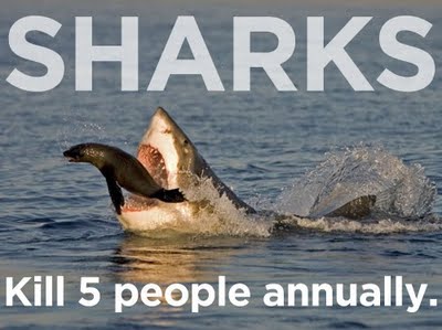 Familiar things kill people better than sharks