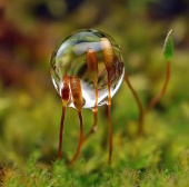 Fantasy water drops shimmering