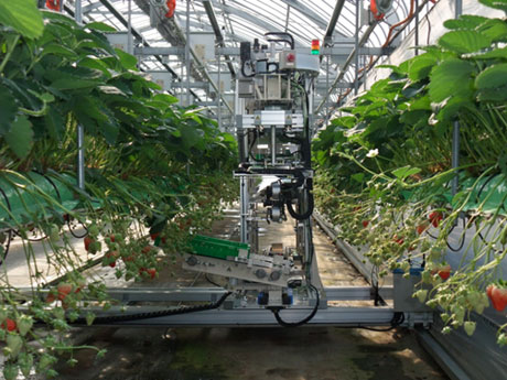 Farm full of robots