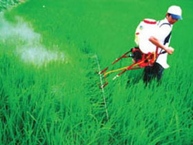 Farmers make multi-purpose spraying kits