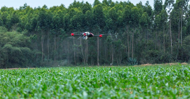 Farmer's new hi-tech weapon kills 98% of the pests