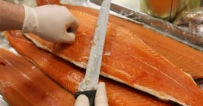 Farming salmon is the most toxic food in the world?
