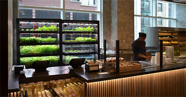 Farmshelf - A solution to grow vegetables right in your kitchen