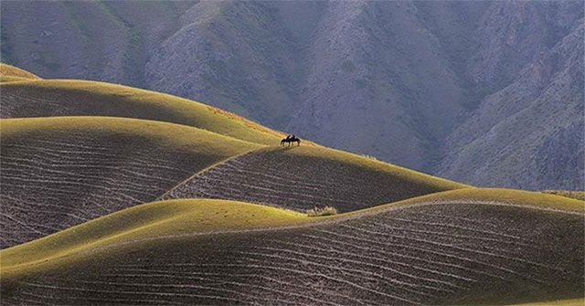 Fascinated with picturesque grasslands in Xinjiang
