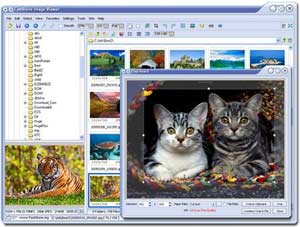 FastStone Image Viewer 2.6: Program for viewing multi-purpose images