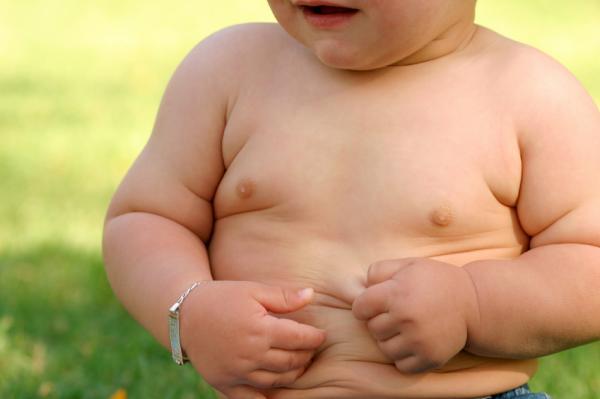 Fat cells are the key to treating obesity