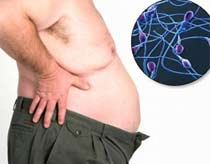 Fat men have poor sperm
