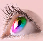 Fat, pain tolerance is reflected in eye color