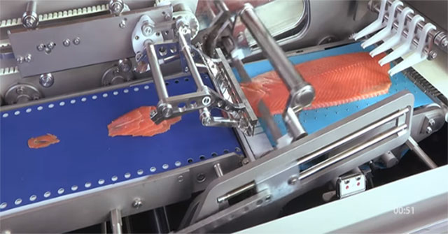 Feast your eyes on the automatic fish fillet line with incredible precision
