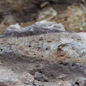 Fecal fossil analysis of ancient people