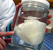 Feeding human heart outside the body