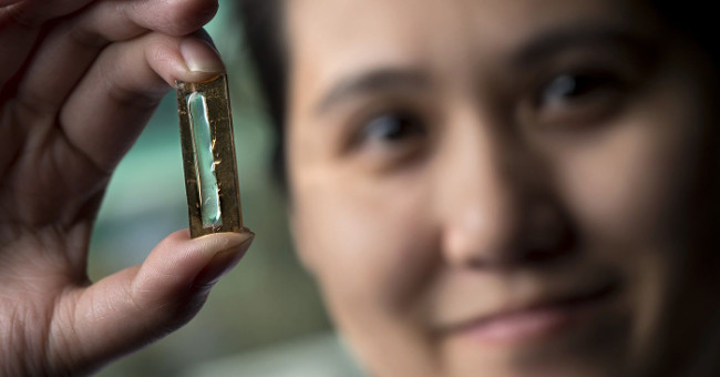 Female Vietnamese graduate student invented lithium battery for life
