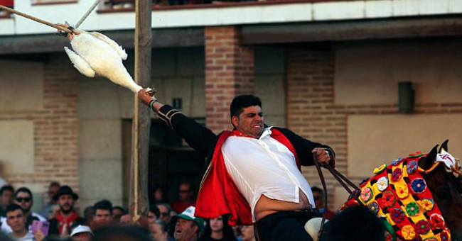 Festival of breaking goose neck in Spain