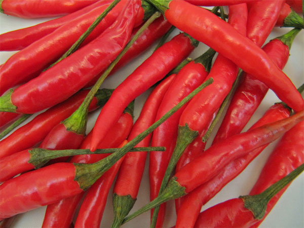 Fight belly fat with chili