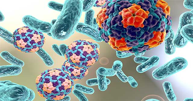 Filter contaminated blood with magnets