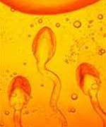 Filter sperm to give birth to people with HIV