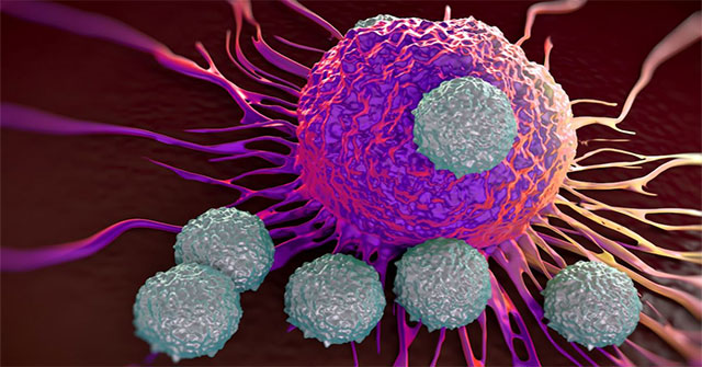 Find a mechanism that makes cancer 'avoid' chemotherapy