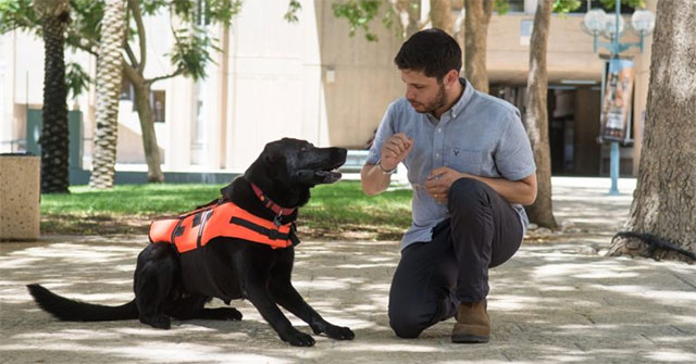 Find a way to control a dog without whistling, waving or issuing a command