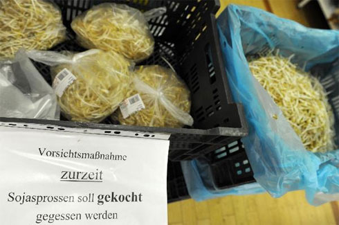 Find deadly E. coli bacteria on bean sprouts