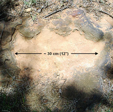 Find dinosaur footprints at NASA's center