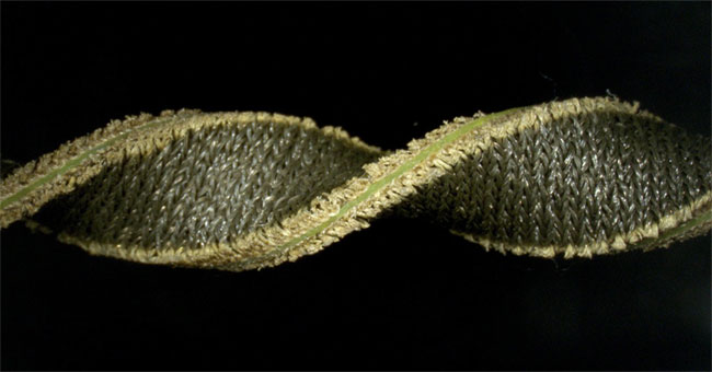 Find fabric turning materials into health monitoring devices