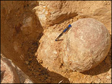 Find hundreds of nesting dinosaur eggs in India