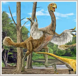 Find identical dinosaurs ... chickens