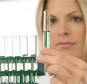Find medicine to cure dengue fever on humanized mice