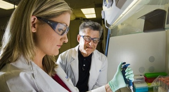 Find medicine to cure hepatitis B