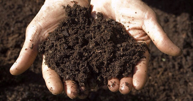 Find new antibiotics in ... soil