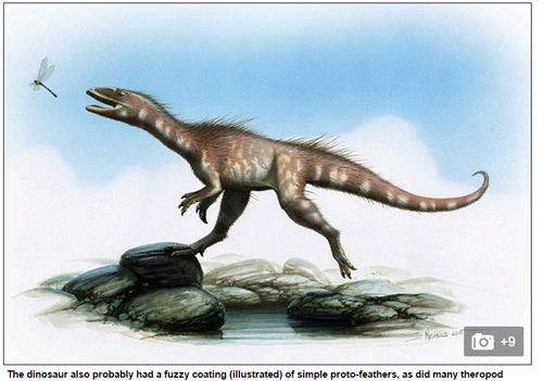Find new dinosaurs with relatives of tyrants