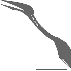 Find new flying reptile fossils