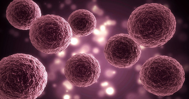Find new weapons against antibiotic resistant viruses