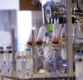 Find out how to detect ovarian cancer early